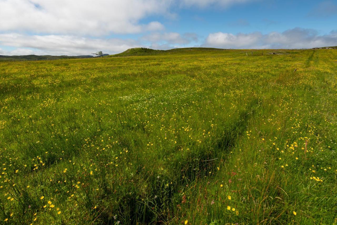 21 Callanish Luxury Pod 外观 照片