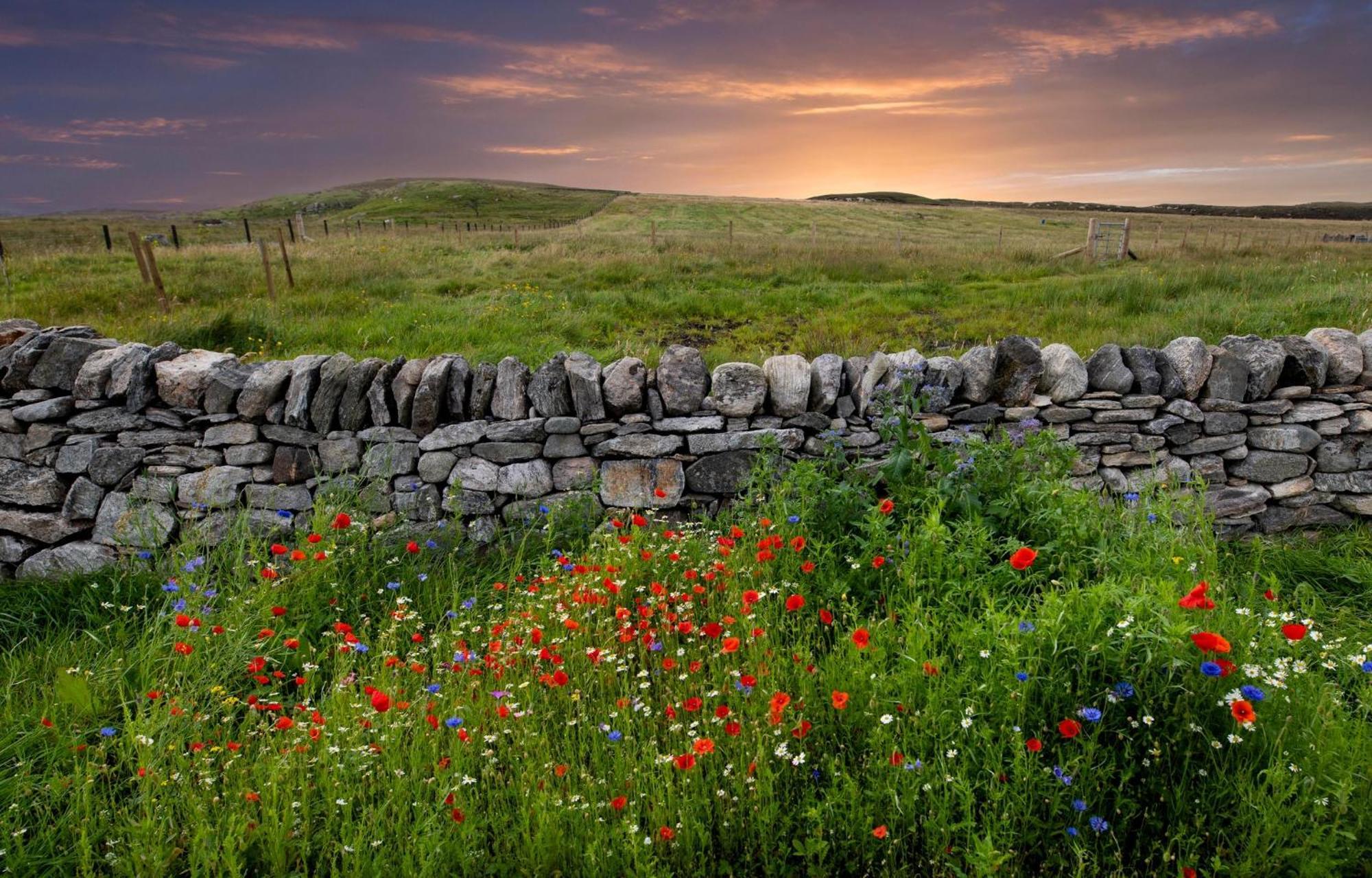 21 Callanish Luxury Pod 外观 照片